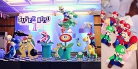 Super Hiro: A Mario Brothers Rumble!